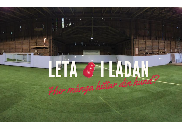 Leta kong i inomhusladan 21-22/3